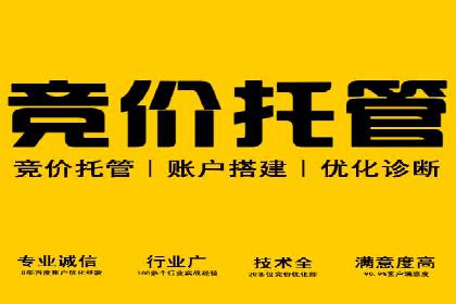 搜索引擎营销（SEM）成功运营的五大案例